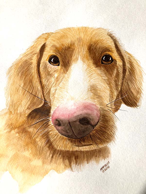 Watercolor Dog Portrait