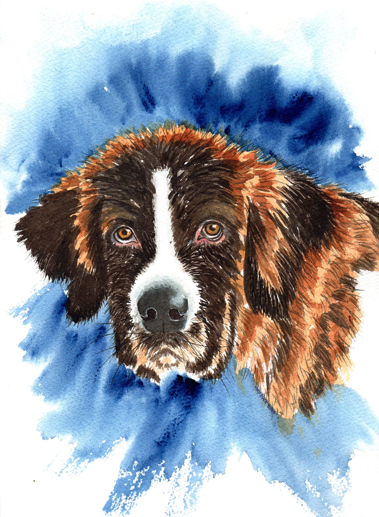 St. Bernard Watercolor Portrait